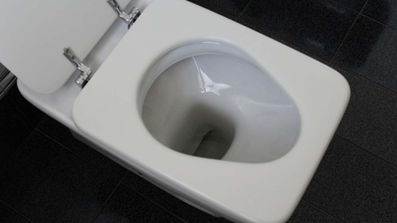 dispositivo urine analizzare wc